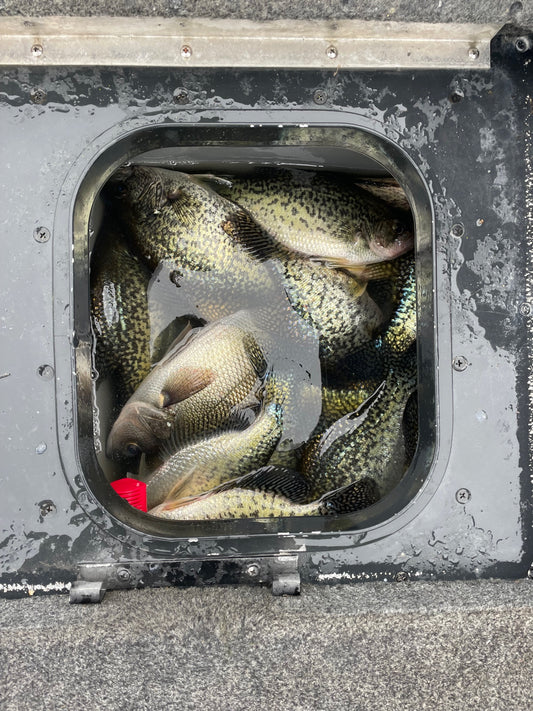 6 Hour PanFish Fishing